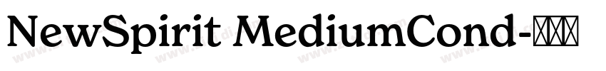 NewSpirit MediumCond字体转换